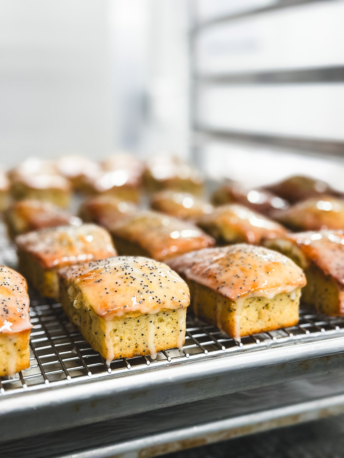 Baked Cake Lemon Poppy